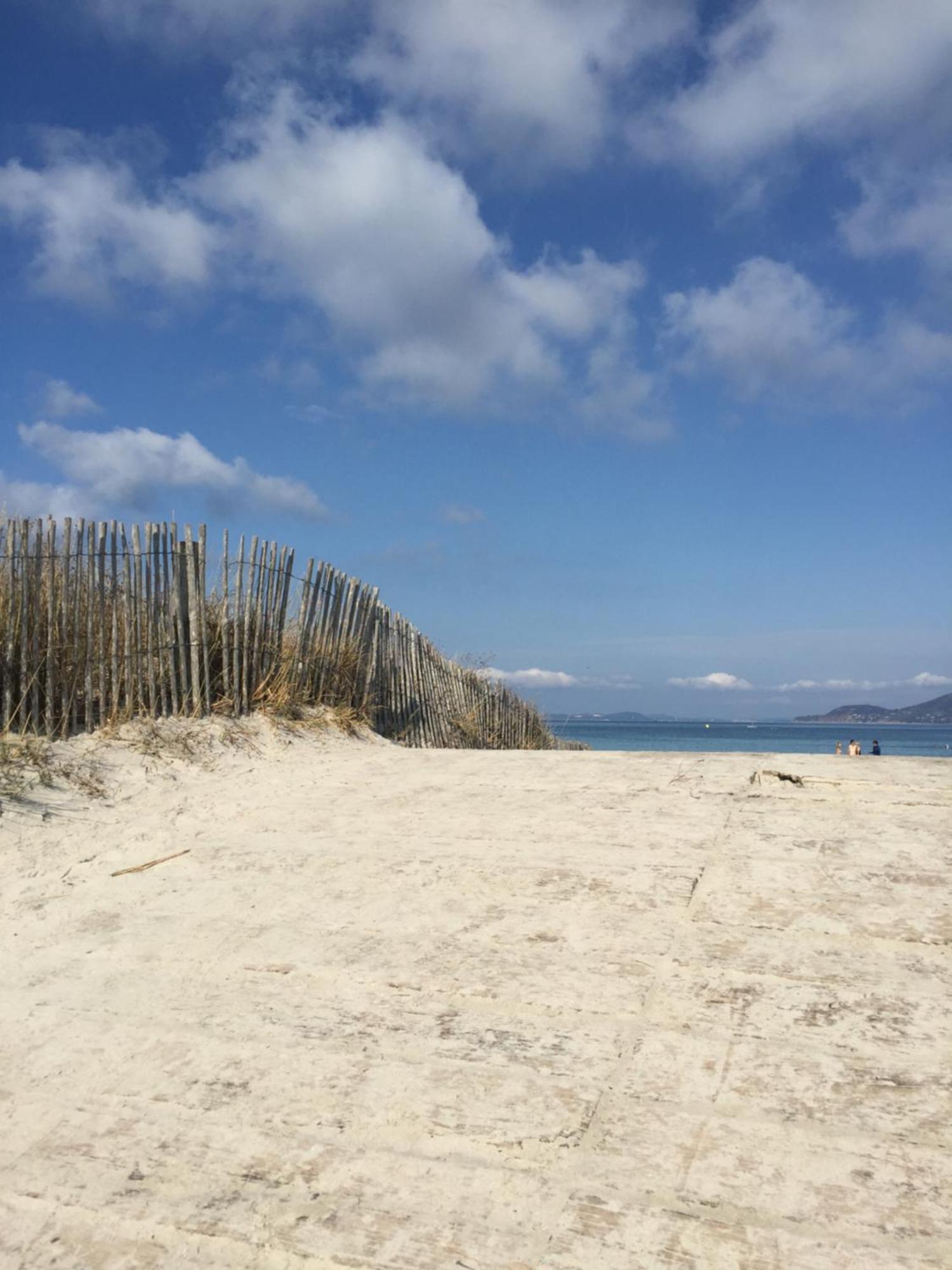 Appartement Les Cigales Rez De Jardin A 10Mn Des Plus Belles Plages Hyères Eksteriør bilde
