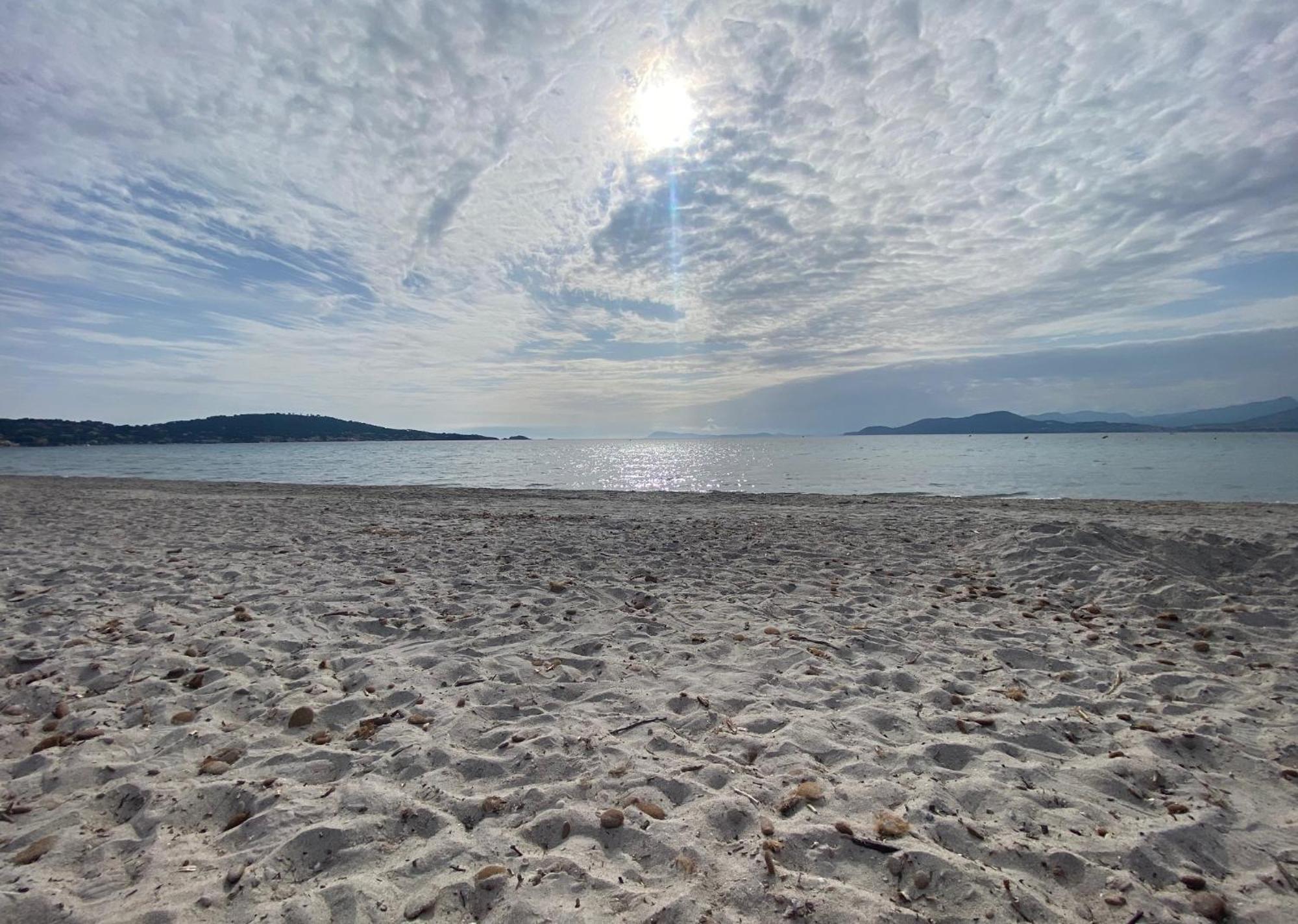 Appartement Les Cigales Rez De Jardin A 10Mn Des Plus Belles Plages Hyères Eksteriør bilde